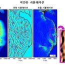 해수욕장의 불청객, 이안류! 올해 해수욕장에서 이안류 걱정 안해도 되는 이유는 이미지