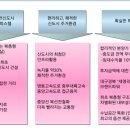 세영리첼 이미지