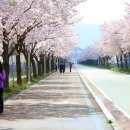 선정1리마을회 이미지