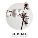 더위시컴퍼니 이미지