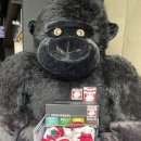 고릴라호텔 | 부산수제맥주 맛집 고릴라브루잉 비치점 | 해운대 뷰 좋은 펍 후기