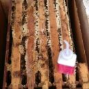 소망1농장 이미지