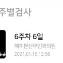 차차초이