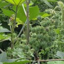 생장경로당 이미지