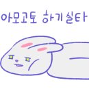 더블리치 이미지