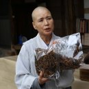정덕농장 네이버블로그
