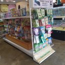 엔젤독스애견 이미지