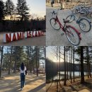 가평시가지 자전거길 | 춘천 가평 남이섬 여행 놀거리 자전거 남이섬 입장권 할인 배시간표