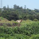 리월드카센타 이미지