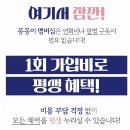 멤버쉽풀 이미지