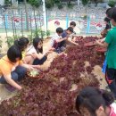 고현초등학교 이미지