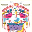 오 십 견 이미지