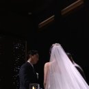 보타닉파크웨딩