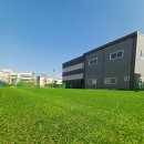 공감애견학교 이미지