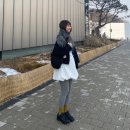 3566 | 샥스 TL 블랙 앤 맥스 오렌지 / AR3566-002 / 풋락커 구매 후기 / 나이키 앱 첫구매 쿠폰 소멸 / 사이즈 팁