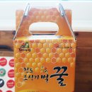 조상기벌꿀