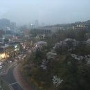 해드림투어