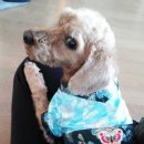 육천세탁 이미지