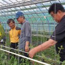 참다운농장 이미지