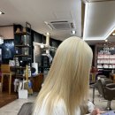 강남역 미용실에서 금발로 탈색하기기! 염색 전 탈색 후기
