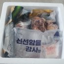 금빛찬