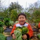 YMCA 어린이집 이미지