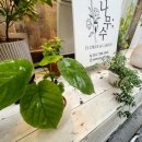 주흥길 24 이미지