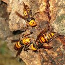 서천소방서-45 이미지