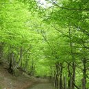사랑의손 - 창원시 마산합포구 | 사랑의손