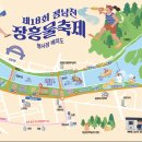 정남진장흥물축제 2025 완전정복 - 편백숲 힐링부터 맛집까지 현지인 꿀팁 총정리