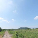 서성일로 이미지