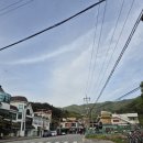 종합터미널 버스정류장(685) 이미지