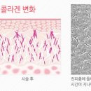 미애로여성의원 이미지