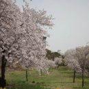 편한, 안 정신건강의학과의원 이미지