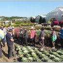 연수꽃식물원 이미지