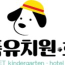 명품 애견유치원 호텔 이미지