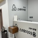 스테이야옹 고양이 호텔 이미지