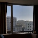 나인트리 프리미어호텔 명동2 | 나인트리 프리미어 호텔 명동2 : 파노라믹 더블룸 남산뷰 (호텔후기)