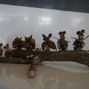 화천여행 이미지