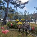 김삿갓한식전문점 이미지