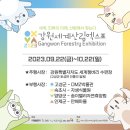 강원특별자치도산림박물관 이미지