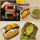 빵나무 | 인천 롯데백화점 밀빛 팝업 황치즈뽀또맘모스, 초코나무쫀득빵 솔직 후기