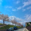 남대천제방길 이미지