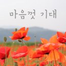 반려동물 아로마 테라피 자격증 이미지