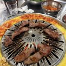 장수소주숯불개구리 | [서울 마포구]공덕역 마포 원조 갈매기 구이 느낌 제대로 살아있는 장수갈매기 본점 후기