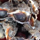 인이수산 이미지