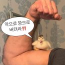 구월팔일 이미지