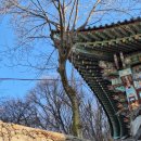 난동여성경로당 | 1. 30(금) 경찰참고기사