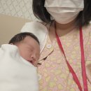 리엘산후조리원 | [리엘산후조리원]내돈내산 후기,13박14일,모자동실,후기이벤트참여x