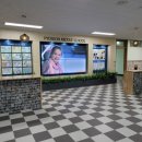 표선중학교 이미지